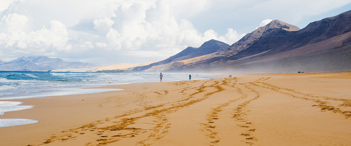 Die Playa de Cofete erstreckt sich weitläufig an der Südküste Fuerteventuras. Dahinter erhebt sich die markante Bergkette der Halbinsel Jandía.